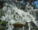 Fontaine Tastavin