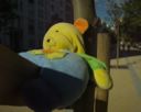 Nounours Perdu.