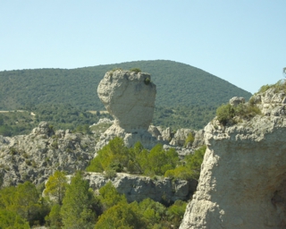 Voila un dinozore.